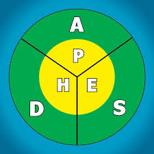 Logo ADS